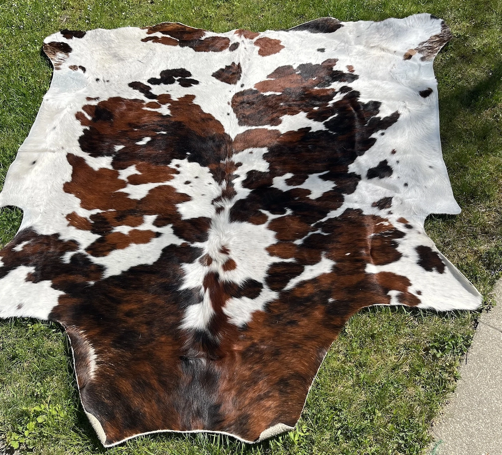 Kuhfellteppich