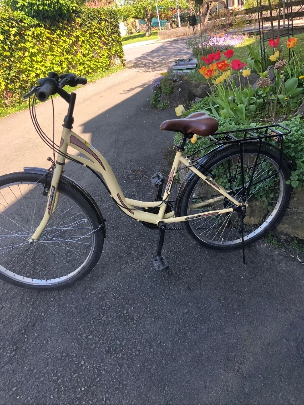 Damen Fahrrad