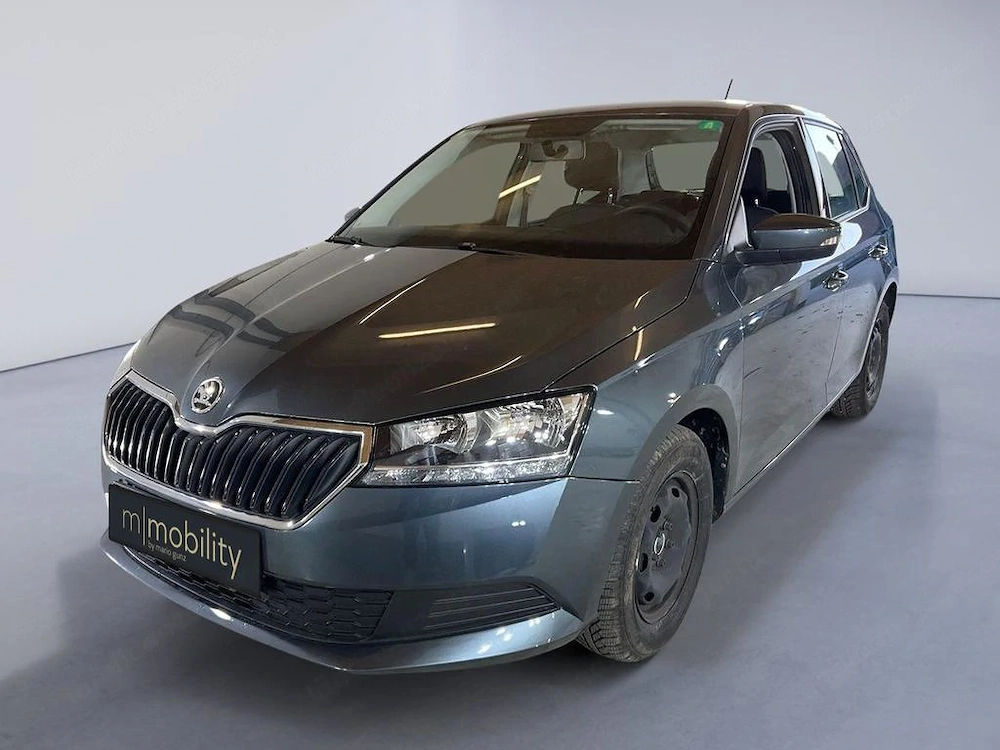 Skoda Fabia 1.0 Sitzheizung | AHK