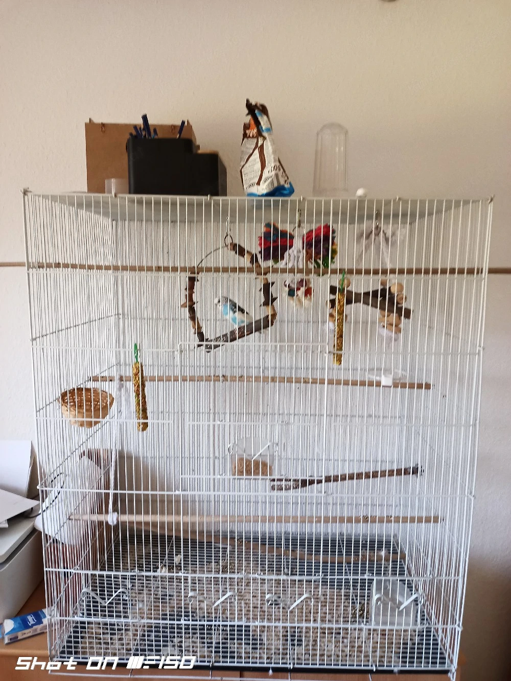 Wellensittich +käfig +zubehör