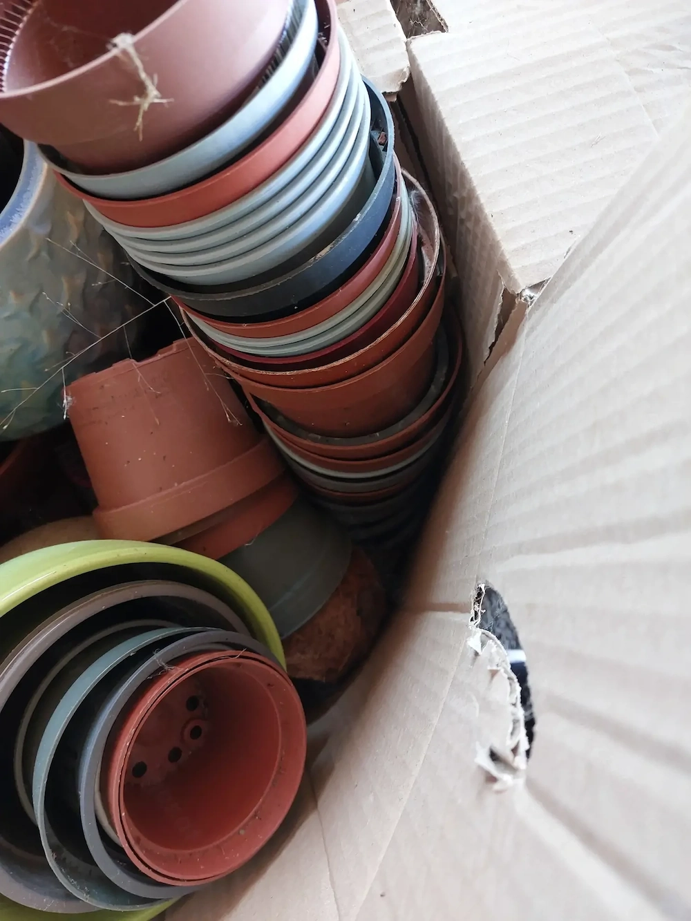 Pflanztöpfe   Anzuchttöpfe zu verschenken 