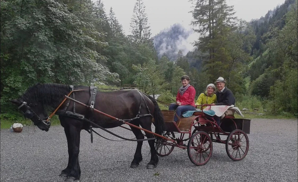 Pferdekutsche Einspänner