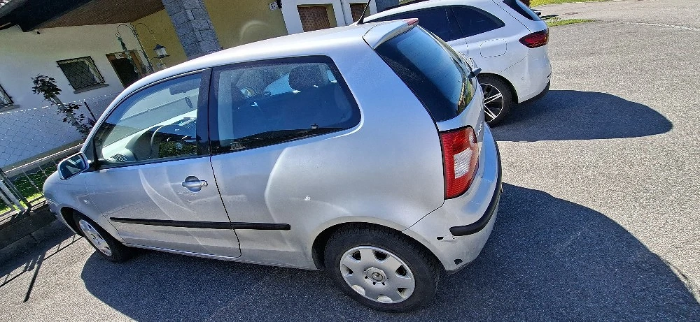 Polo zu verkaufen