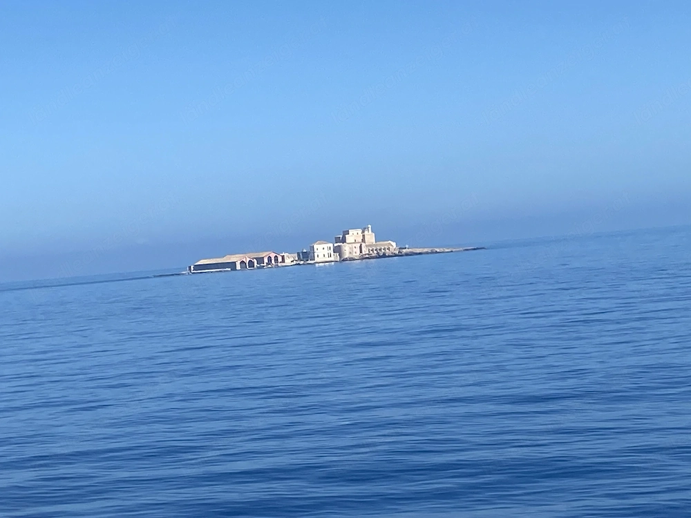 Suche für den 8. Mai eine charmante Begleitung 