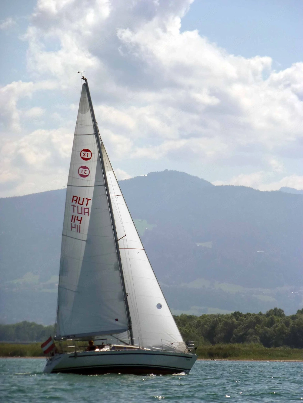 Segelyacht Olsen 31 in Top-Zustand