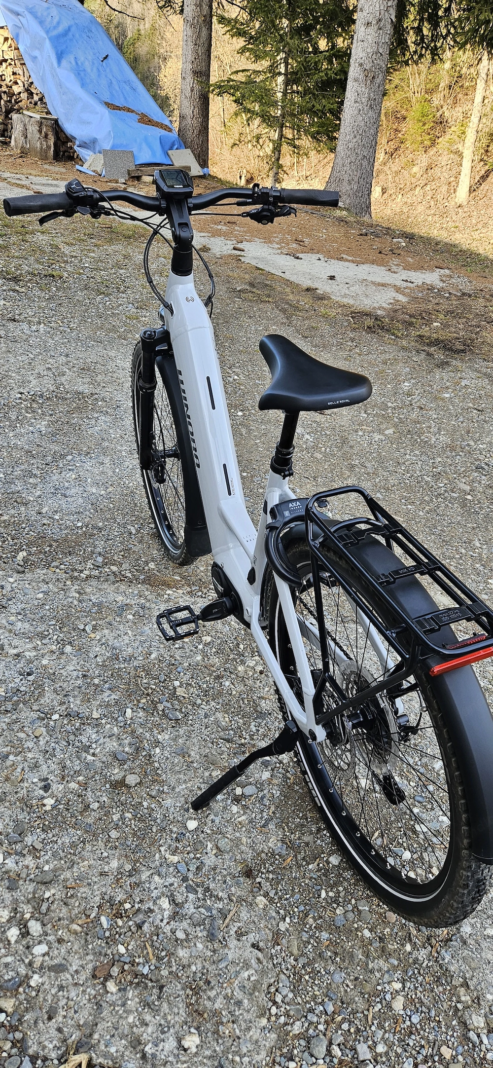 E-Bike WINORA Yucatan 12 pro Tiefeinstieg (wie neu)