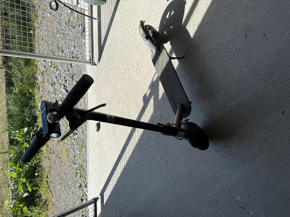 E-Scooter E-Roller 