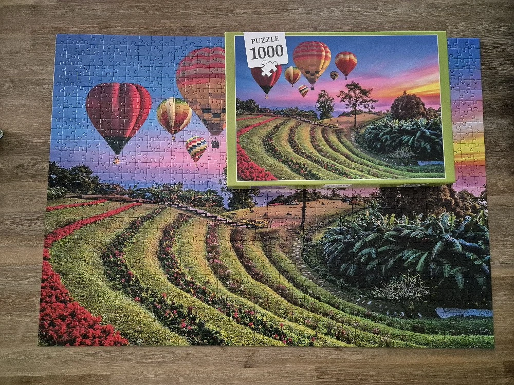 1000 Teile Puzzle 