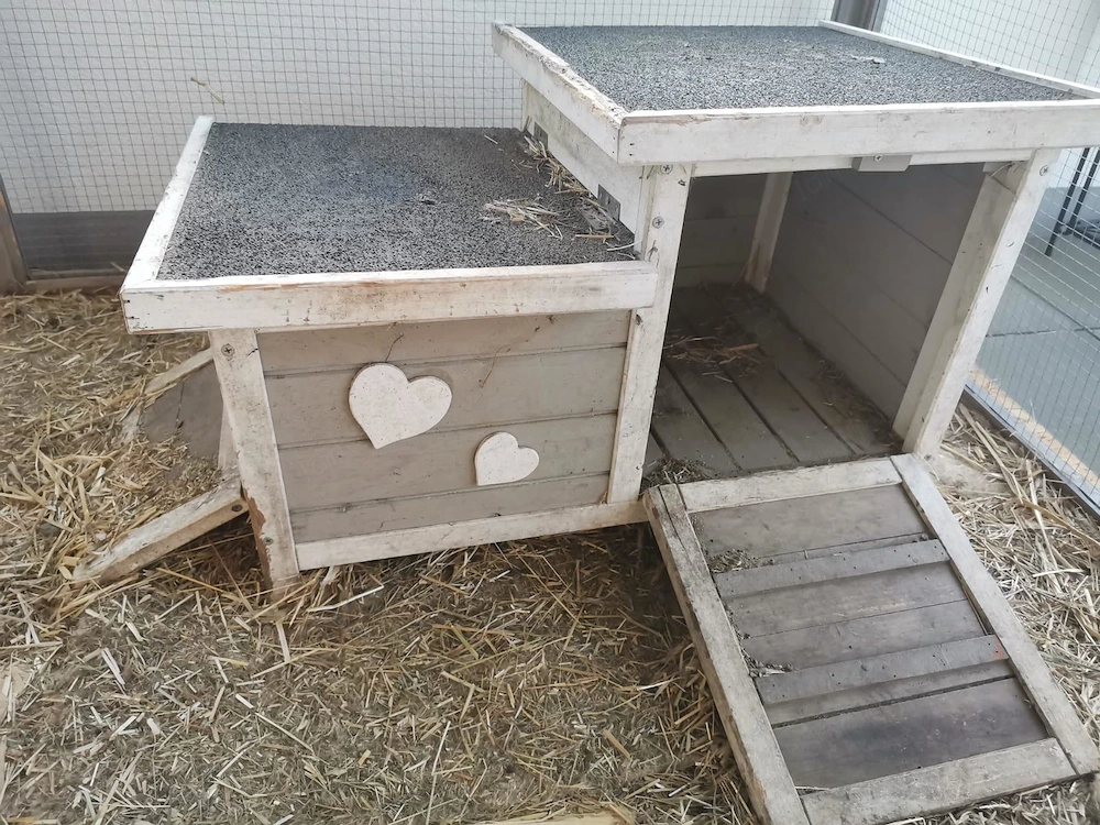 Kaninchenhaus zu verschenken 