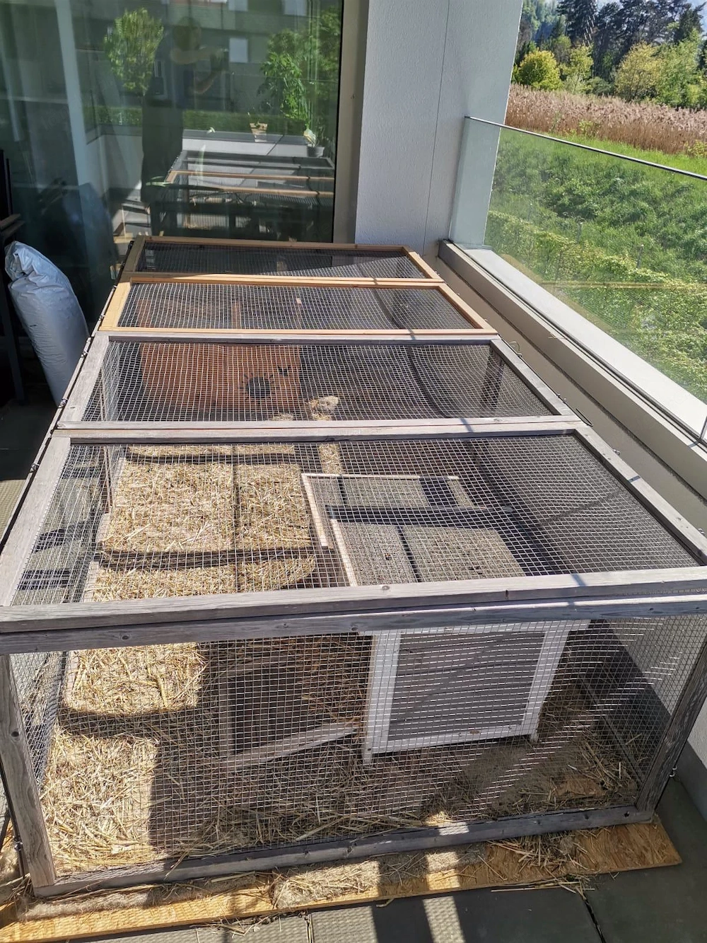 mobiles Kaninchengehege zu verschenken