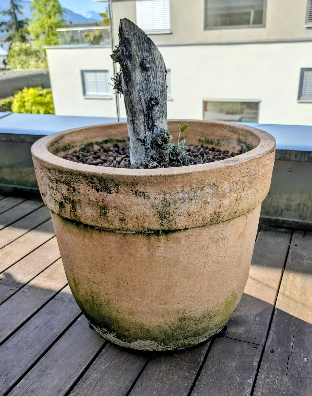 Terrakotta, Tontopf, 2 Stück, groß