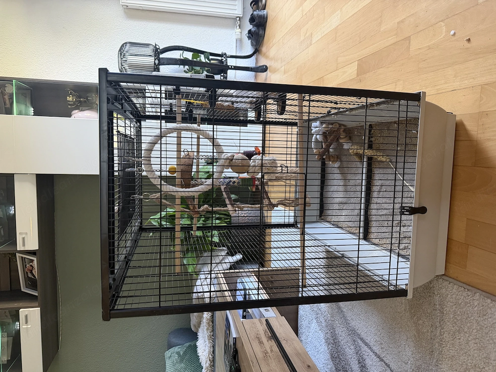 Vogelkäfig zum abgeben 