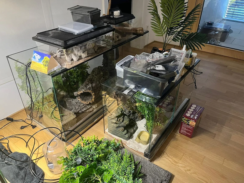 Verkaufe 3 Terrarium mit Zubehör und Geckos