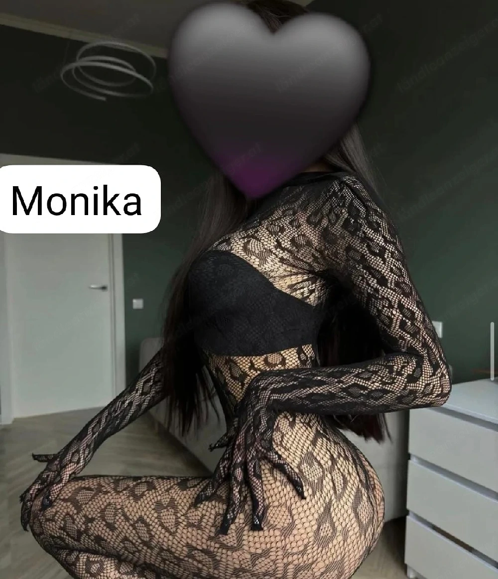 Besuchbar in Wiener Neustadt: 26.04.   29.04