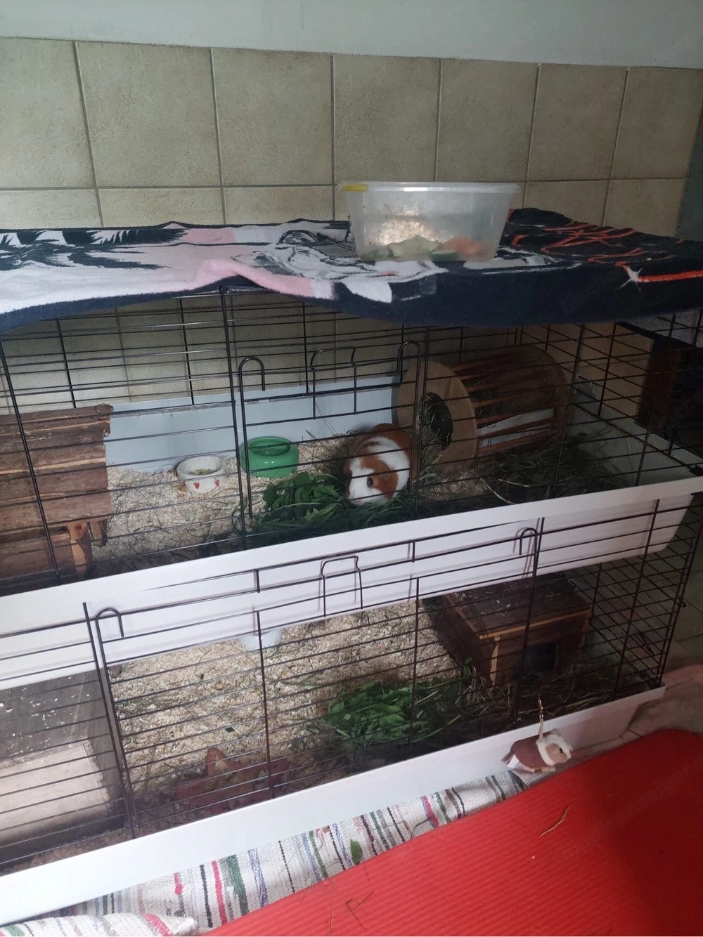 Doppelstöckiger Kleintierstall