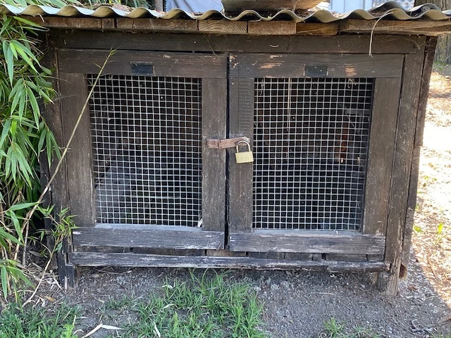 Diverse Hasenställe teilweise inklusive Wannen