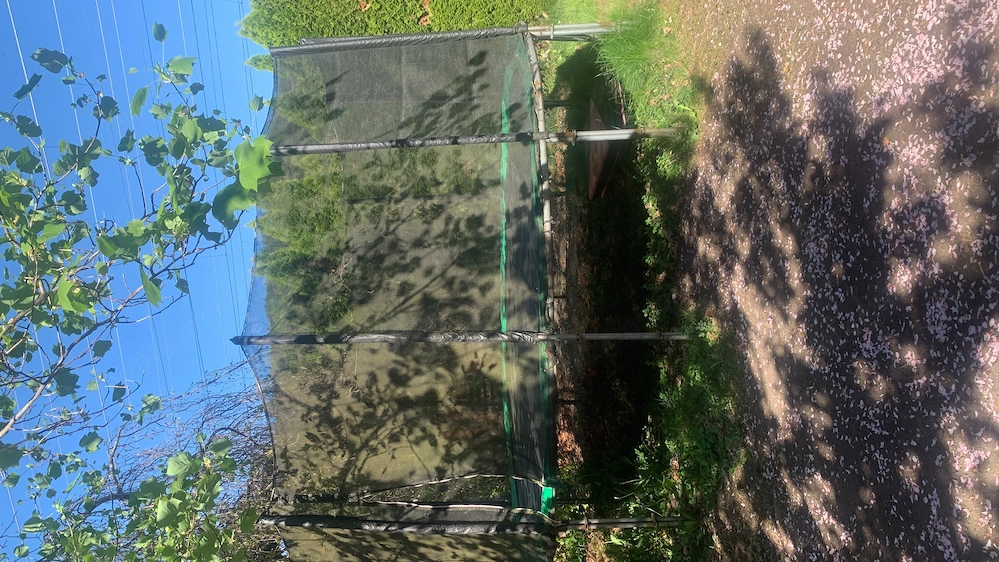 Trampolin 5 m Dirchmesser