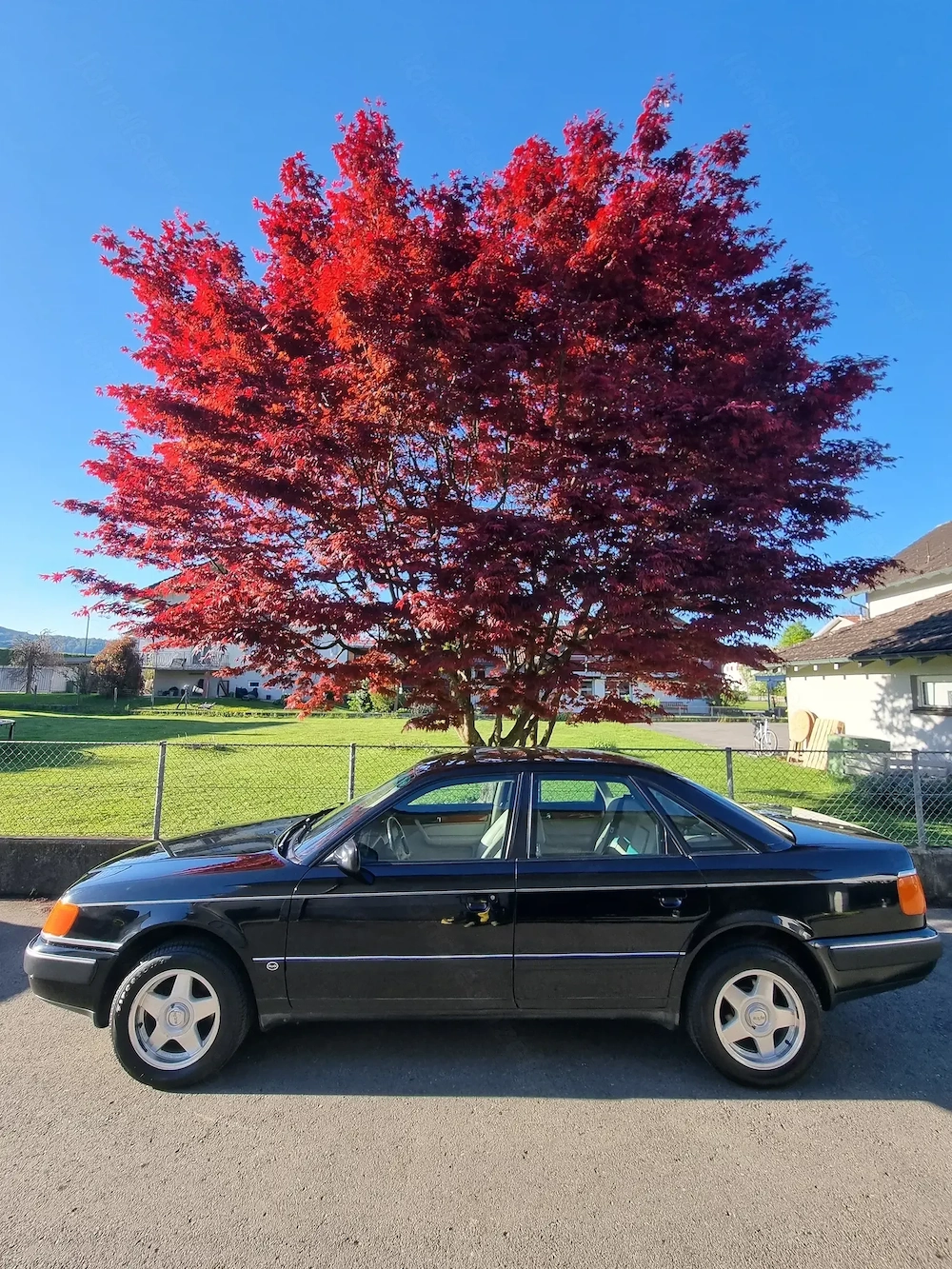 AUDI 100 2,3 in gutem Zustand