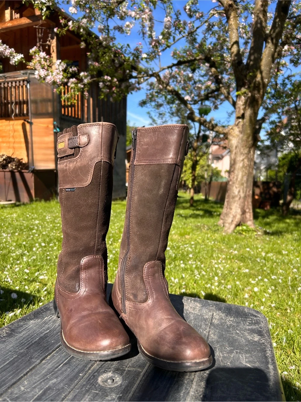 Lederstiefel Gr. 34 GEOX