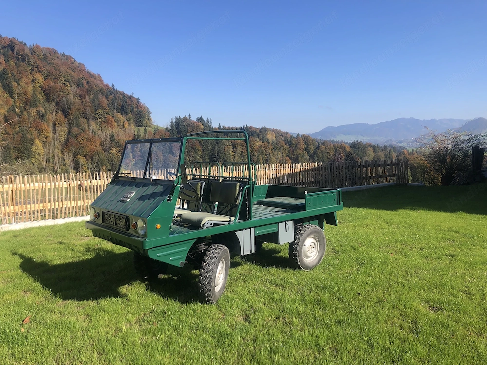 Verkaufe Puch Haflinger 