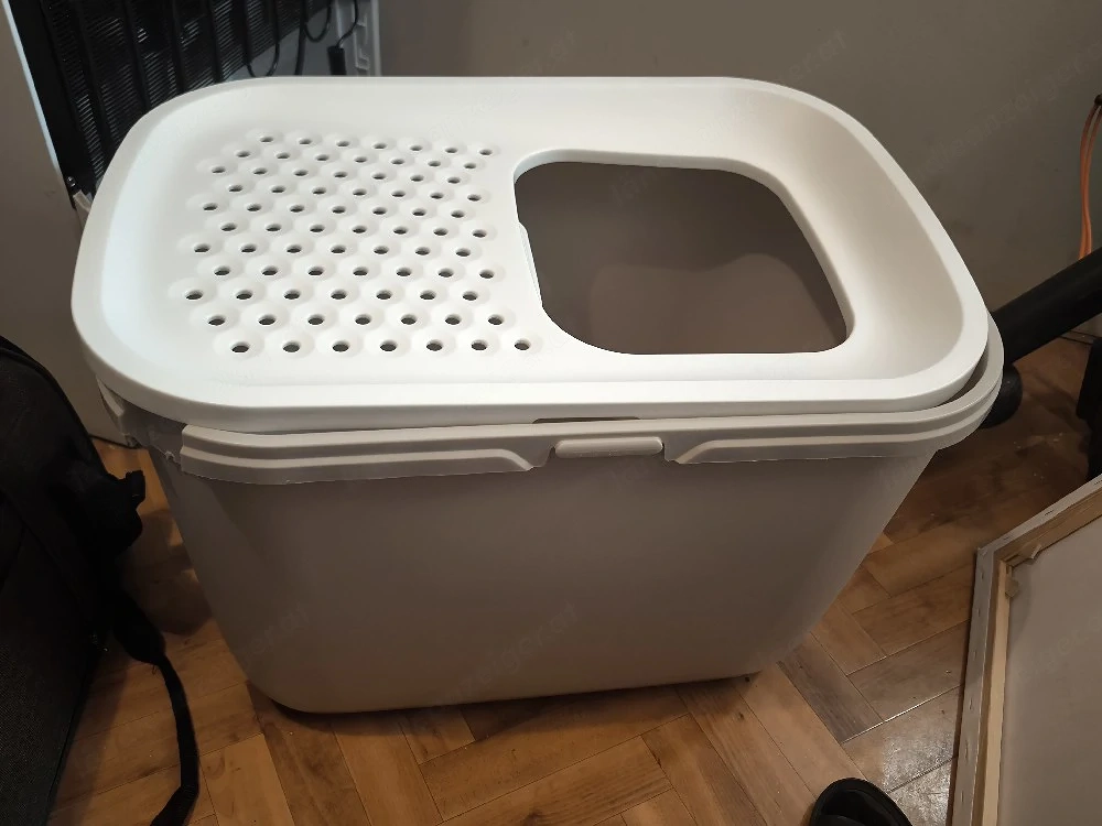 Hop In Katze Toilette 