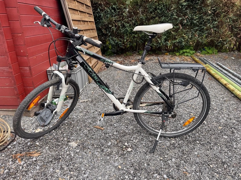 Mountainbike Genesis "Helena"