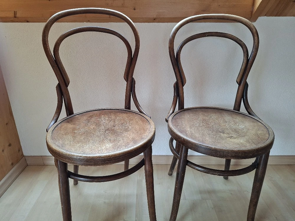 Antike Bugholzstühle