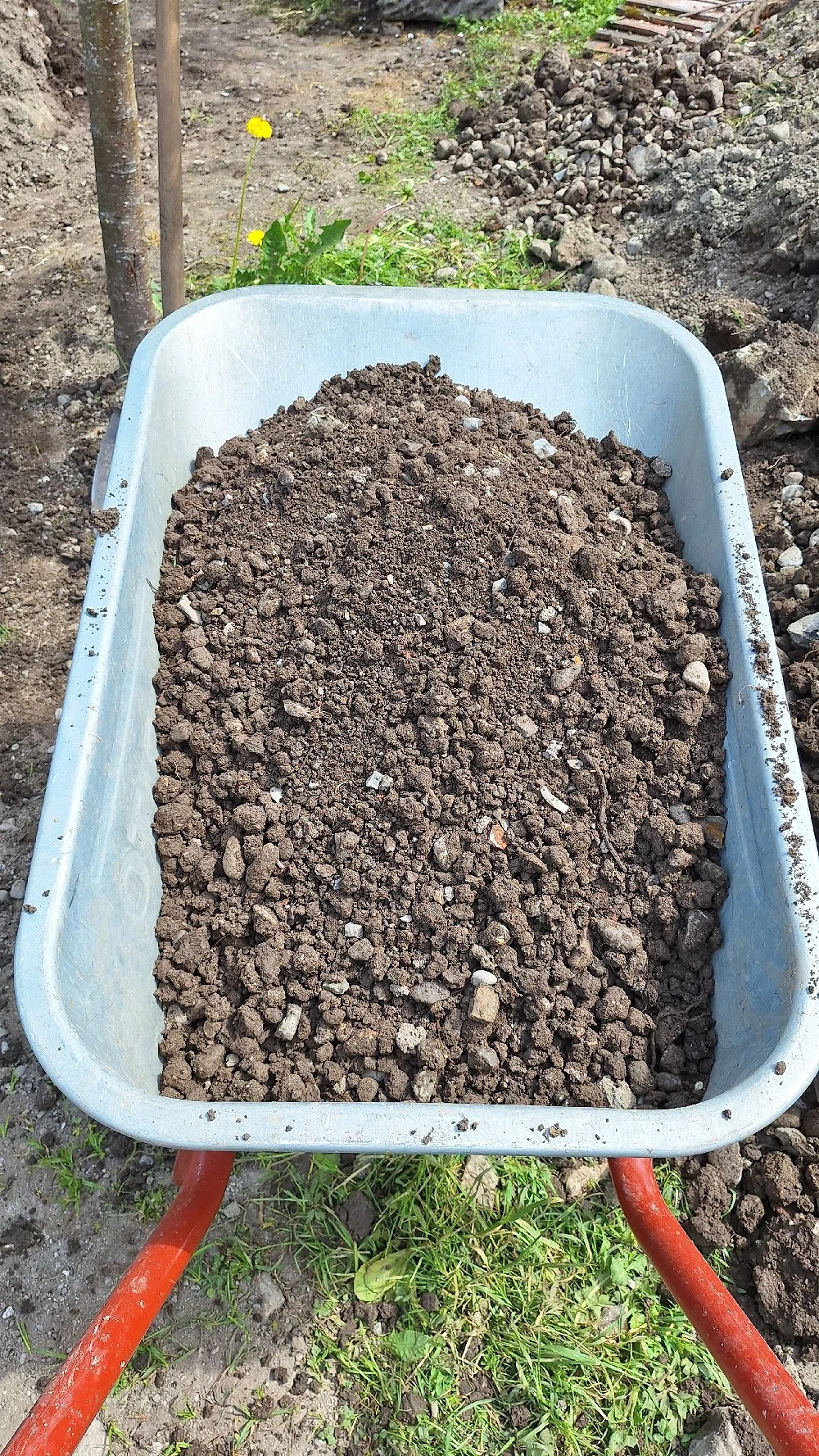 Erde, Aushub (mit Steinen) von Nutzgarten