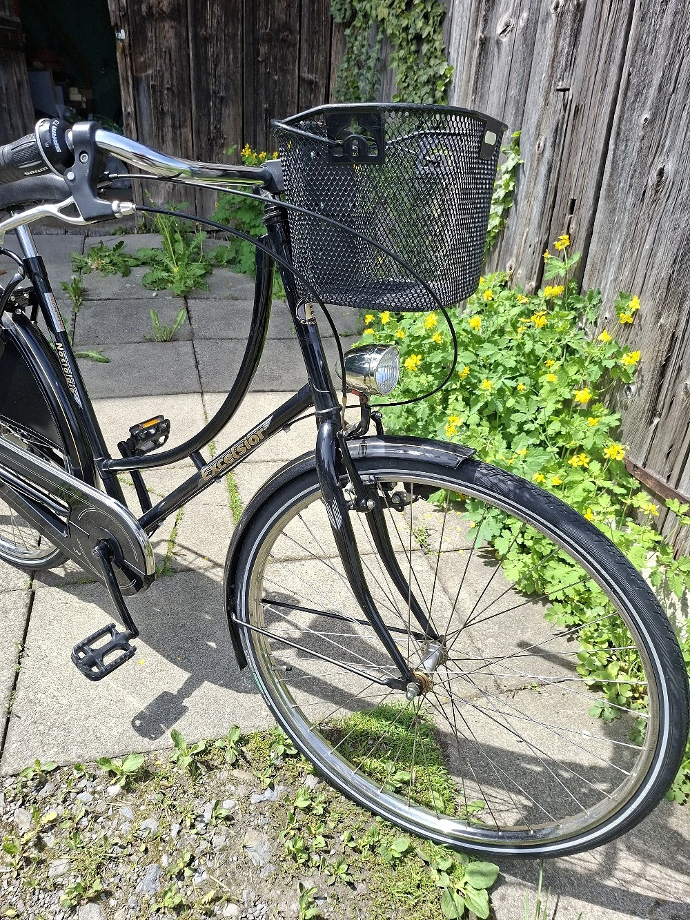 Damenrad im retro Stil
