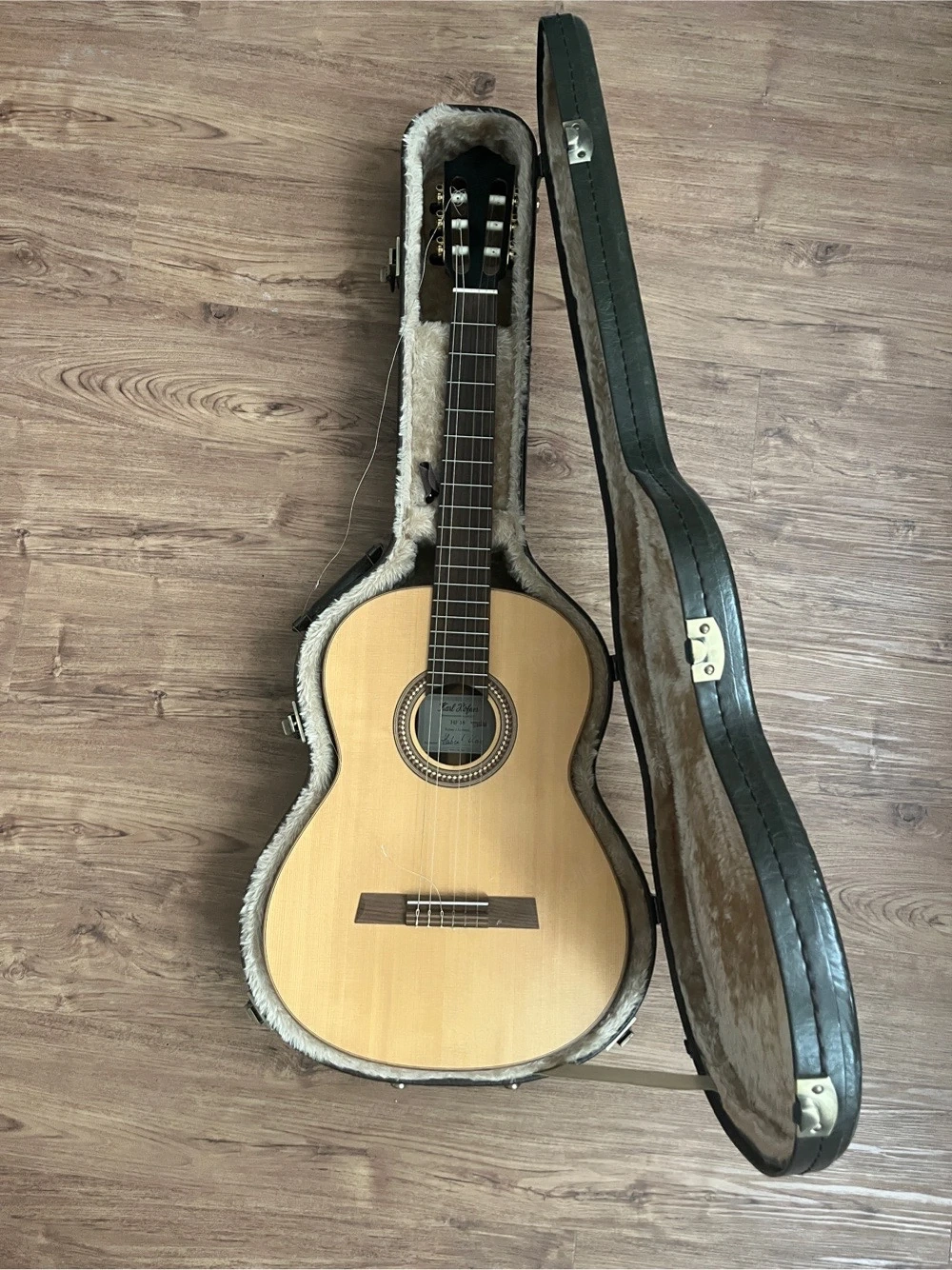Gitarre Höfner + Koffer