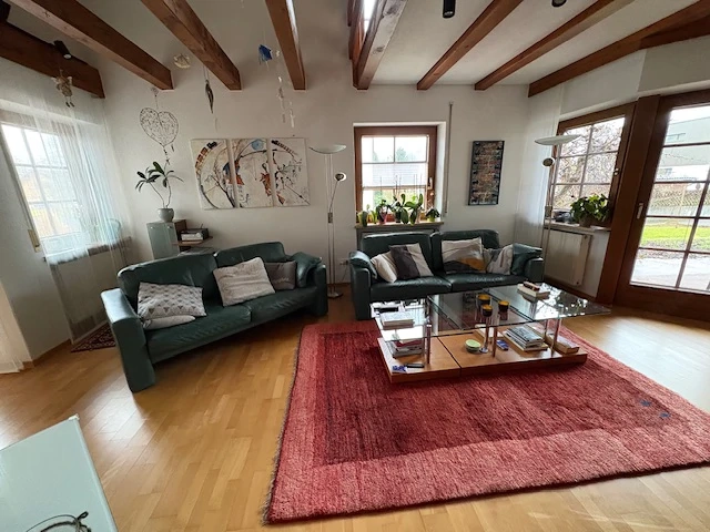 Fernsehcouch, Echtleder. Farbe grün 