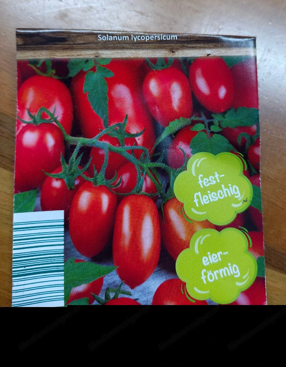 Eier Tomaten Setzlinge 