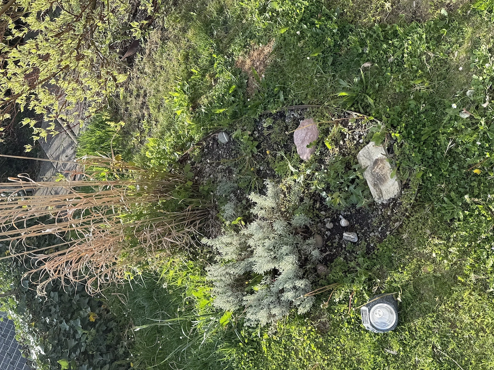 Gartenbereiche anlegen und altes entfernen