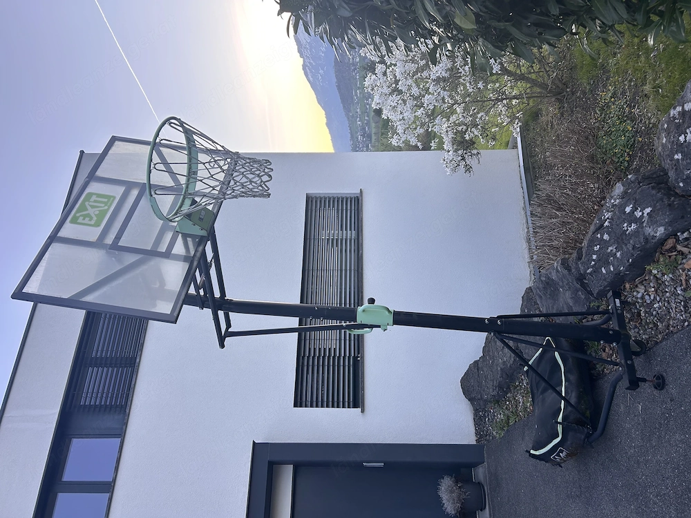 Basketballkorb Originalhöhe