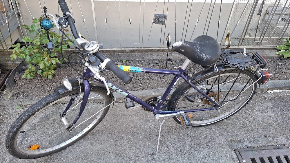 Herren Fahrrad 