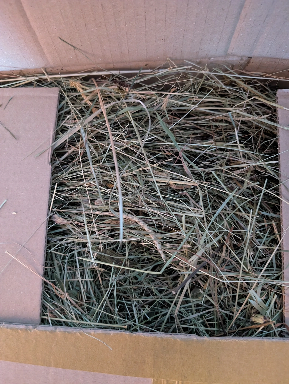Bio Heu Alpenheu zu verschenken 5 kg