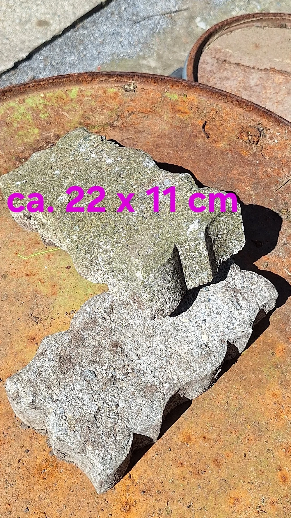 Pflastersteine Beton geschwungen