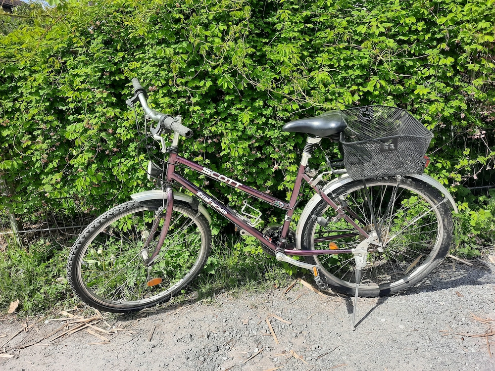 Damen Fahrrad lila 