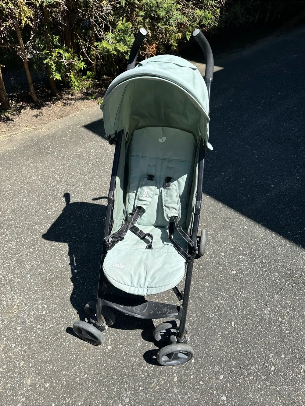 Buggy Joie 