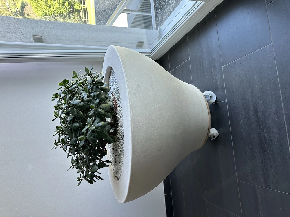 Design Pflanzgefäß Serralunga - Paolo Rizzatto 80 cm   - Made in Italy