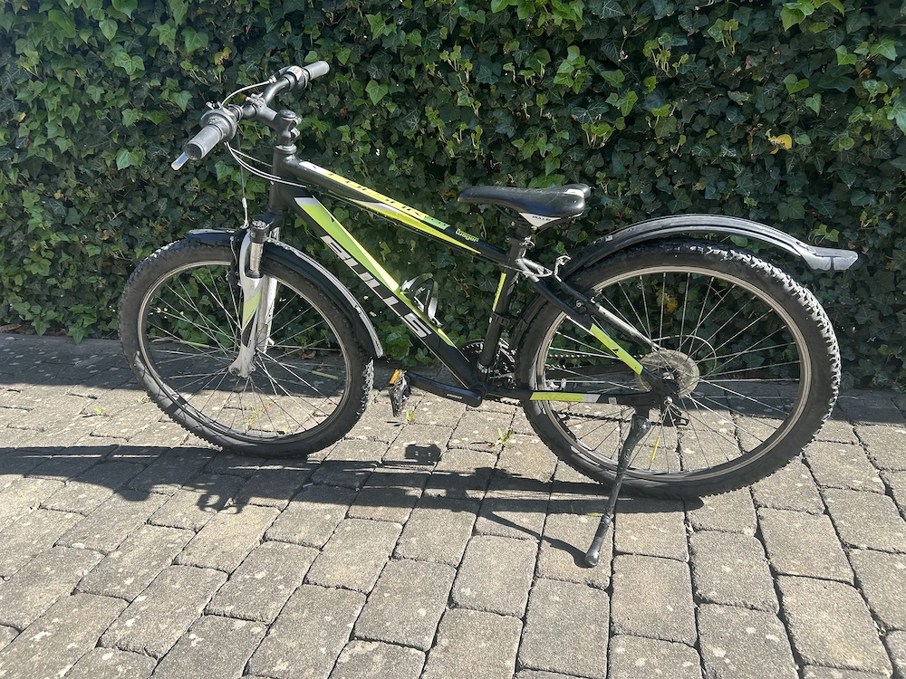 Mountainbike Bulls