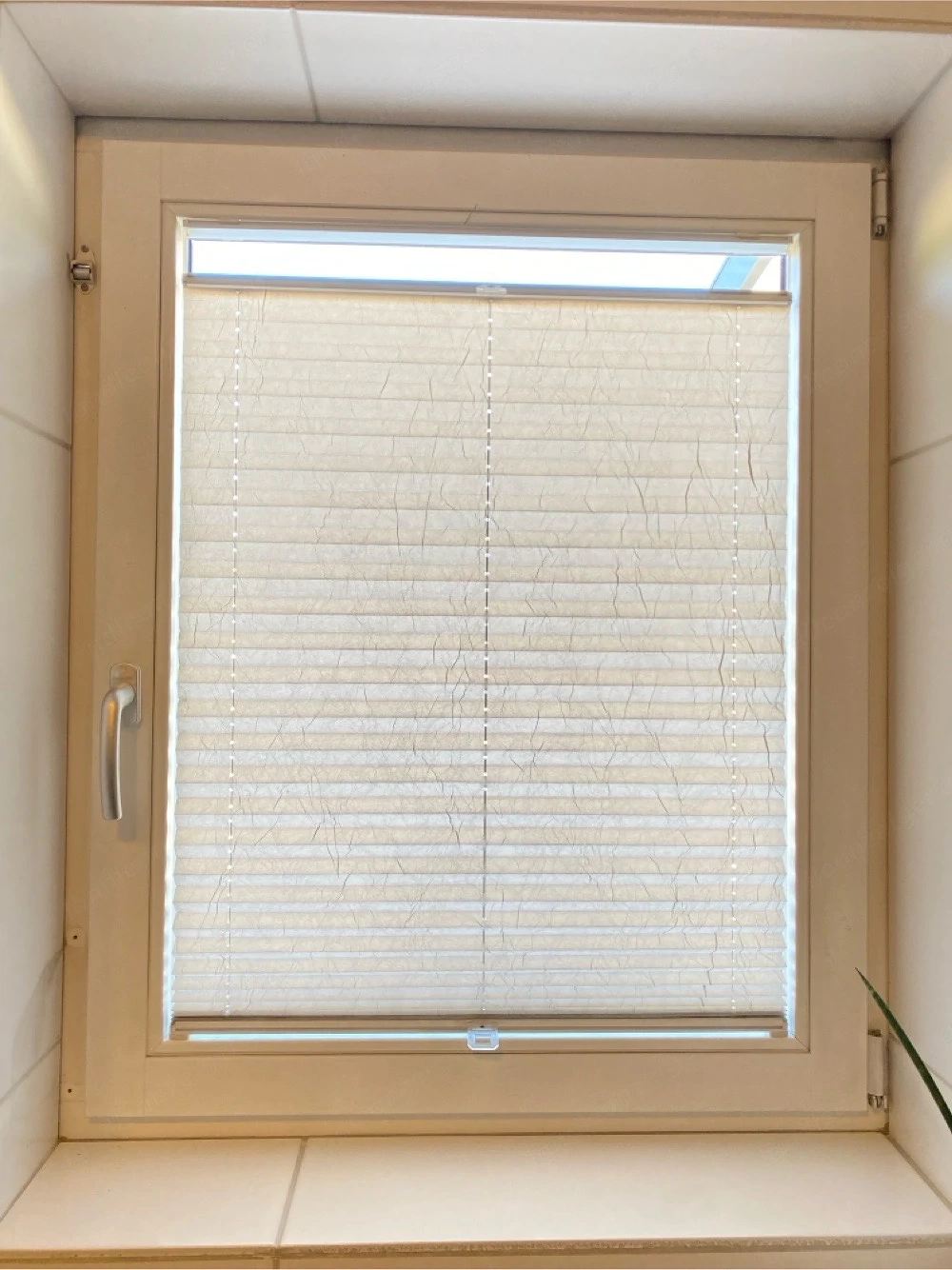 Fenster 84 x 104 cm Holz innen weiß, außen braun