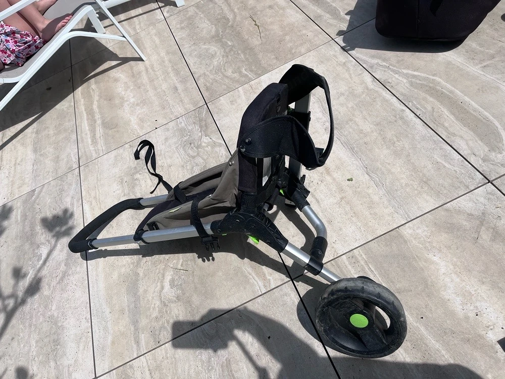 Buggy Pod 