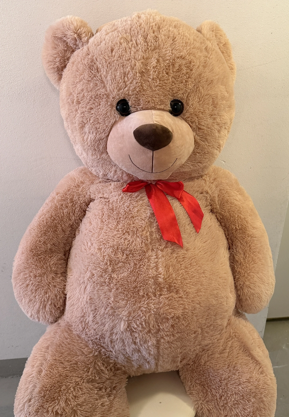 Teddybär XXL  