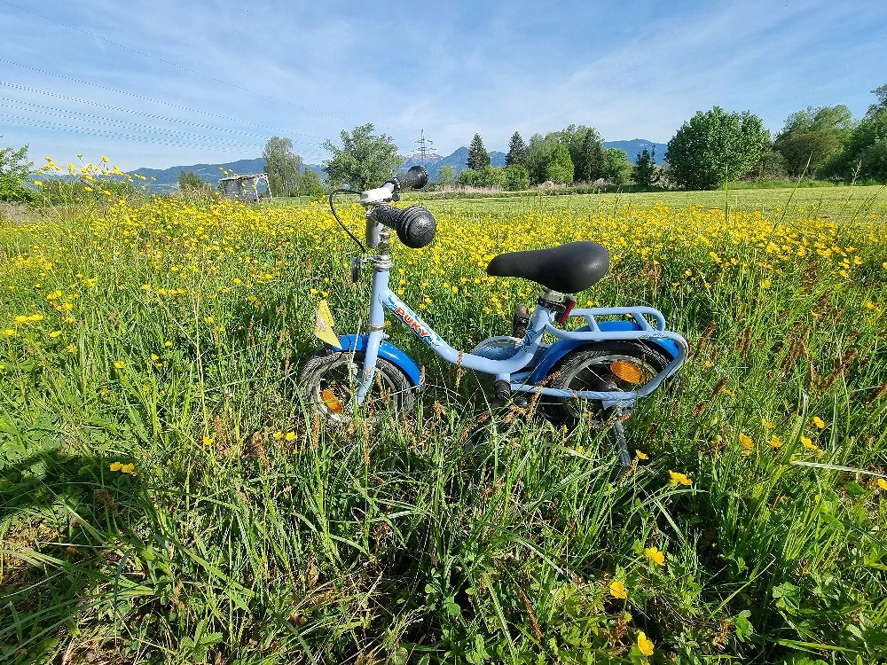 Fahrrad Kinder