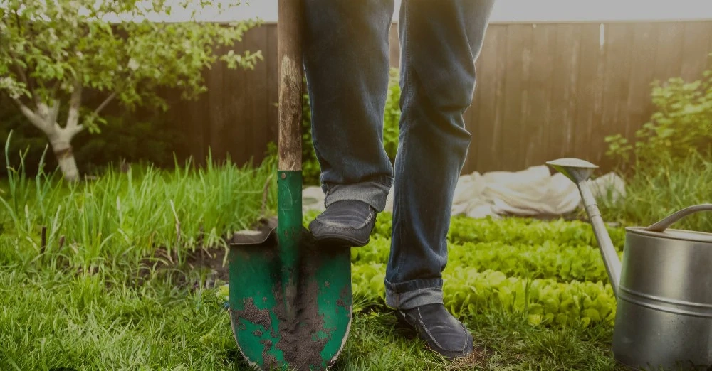 Garten und Pflaster Arbeiten