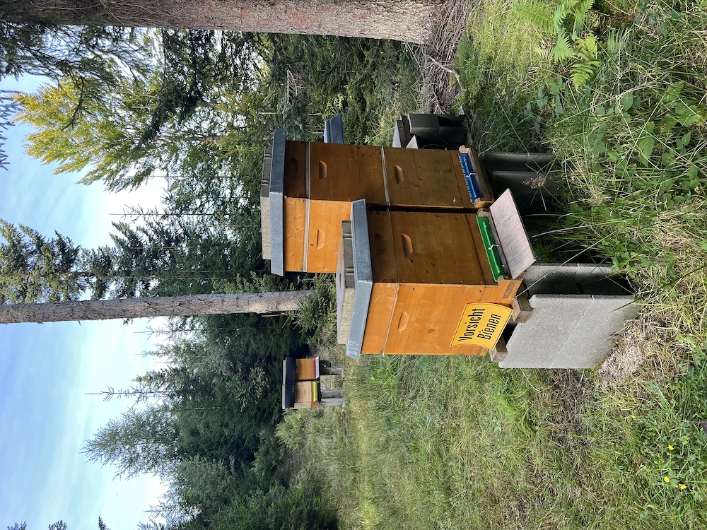 Platz für Bienenstöcke im Völs oder Umgebung gesucht
