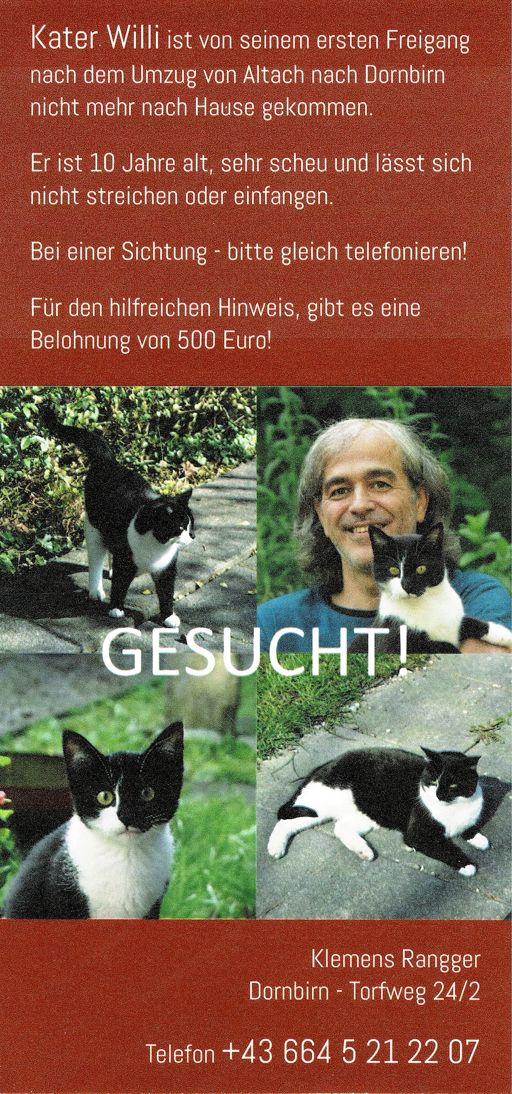 SUCHE: 500 Euro Finderlohn für entlaufenen Kater in Dornbirn