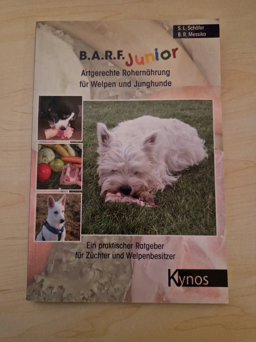 B.A.R.F. Junior