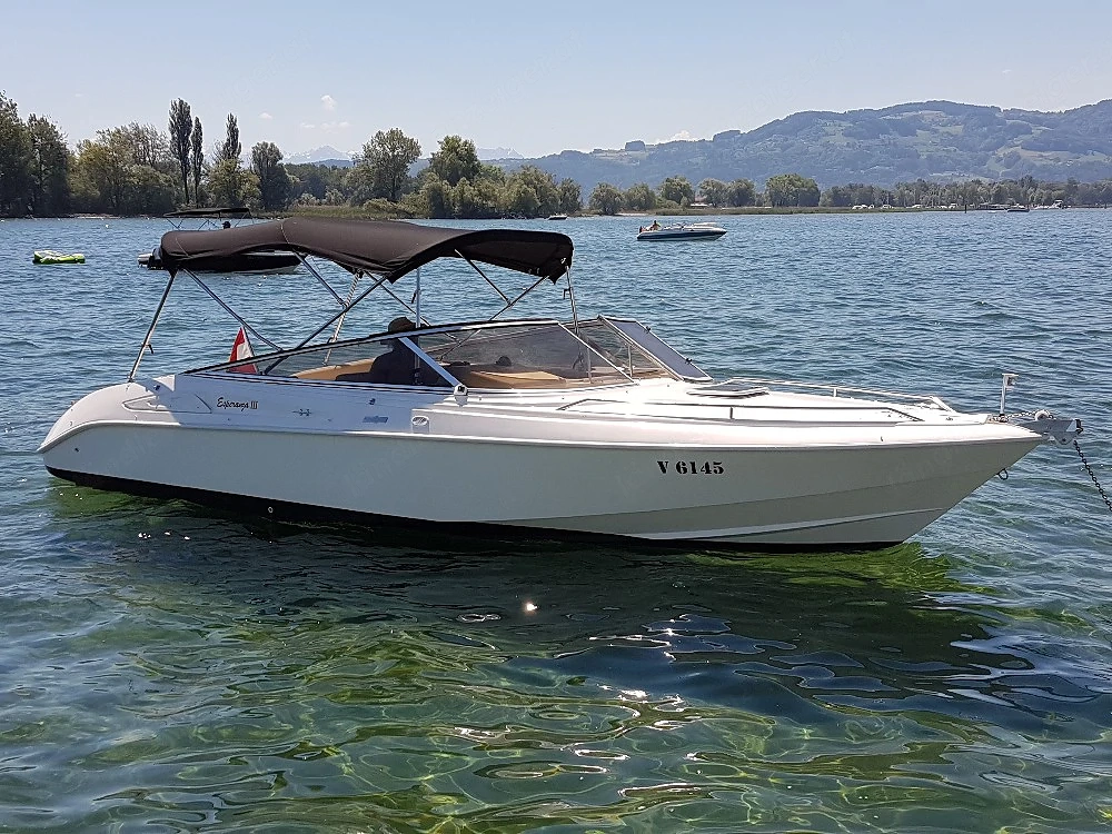 Sportboot Bodenseezulassung